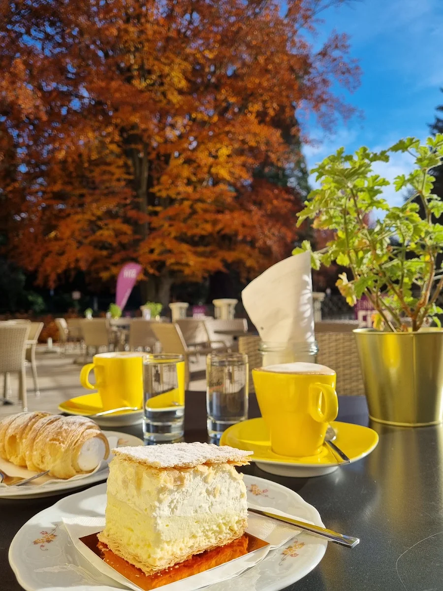 Cremeschnitte Und Schaumrolle