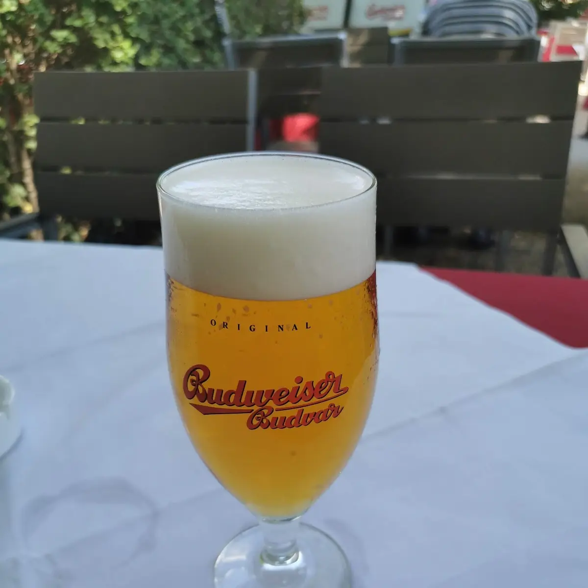 Beer