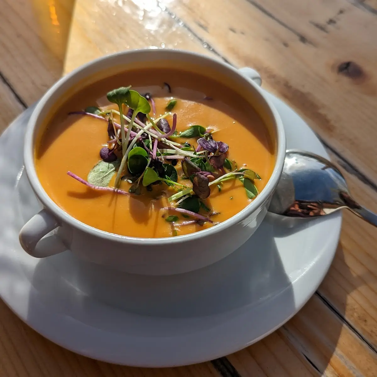 Ingwer Karotten Suppe