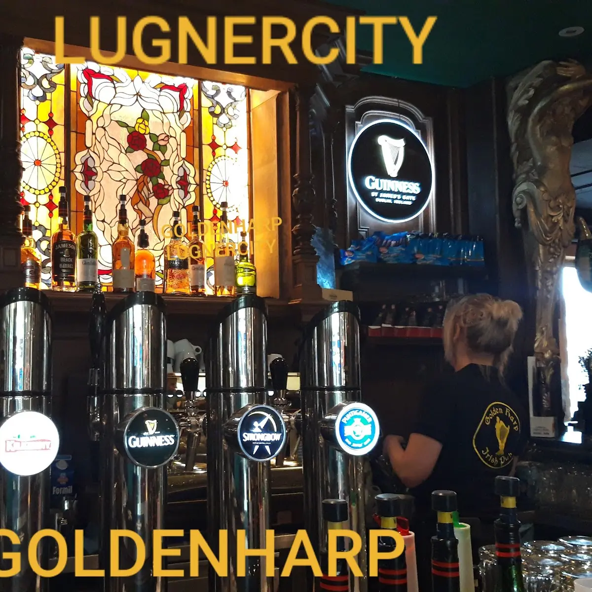 Bar, The Golden Harp Irish Pub Rudolfsheim-Fünfhaus