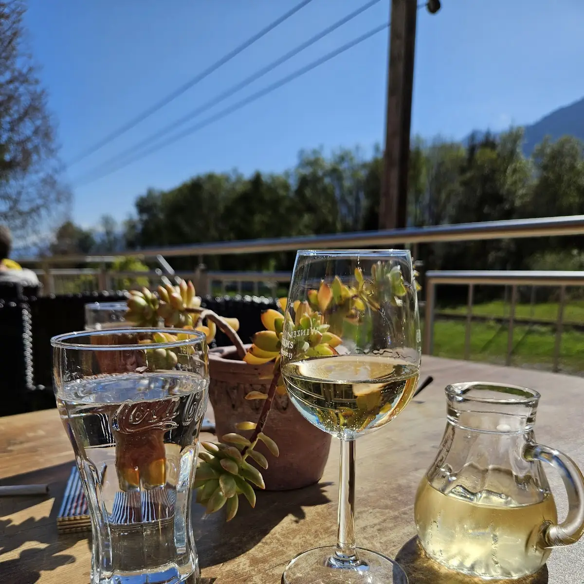 Wein Sommerfrische