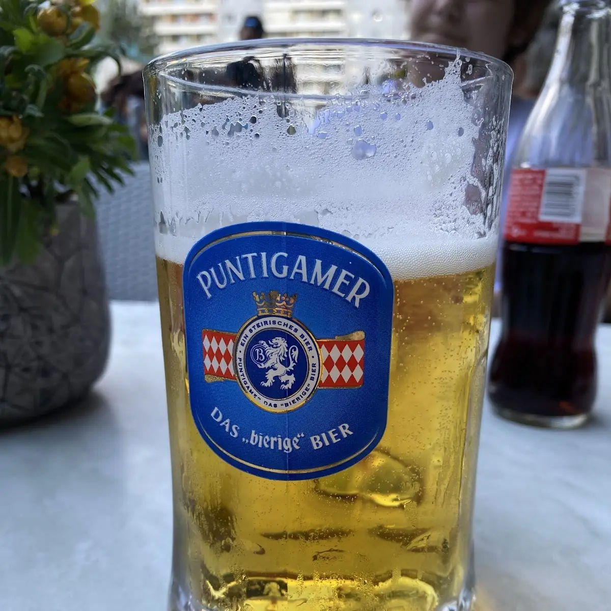 Bier