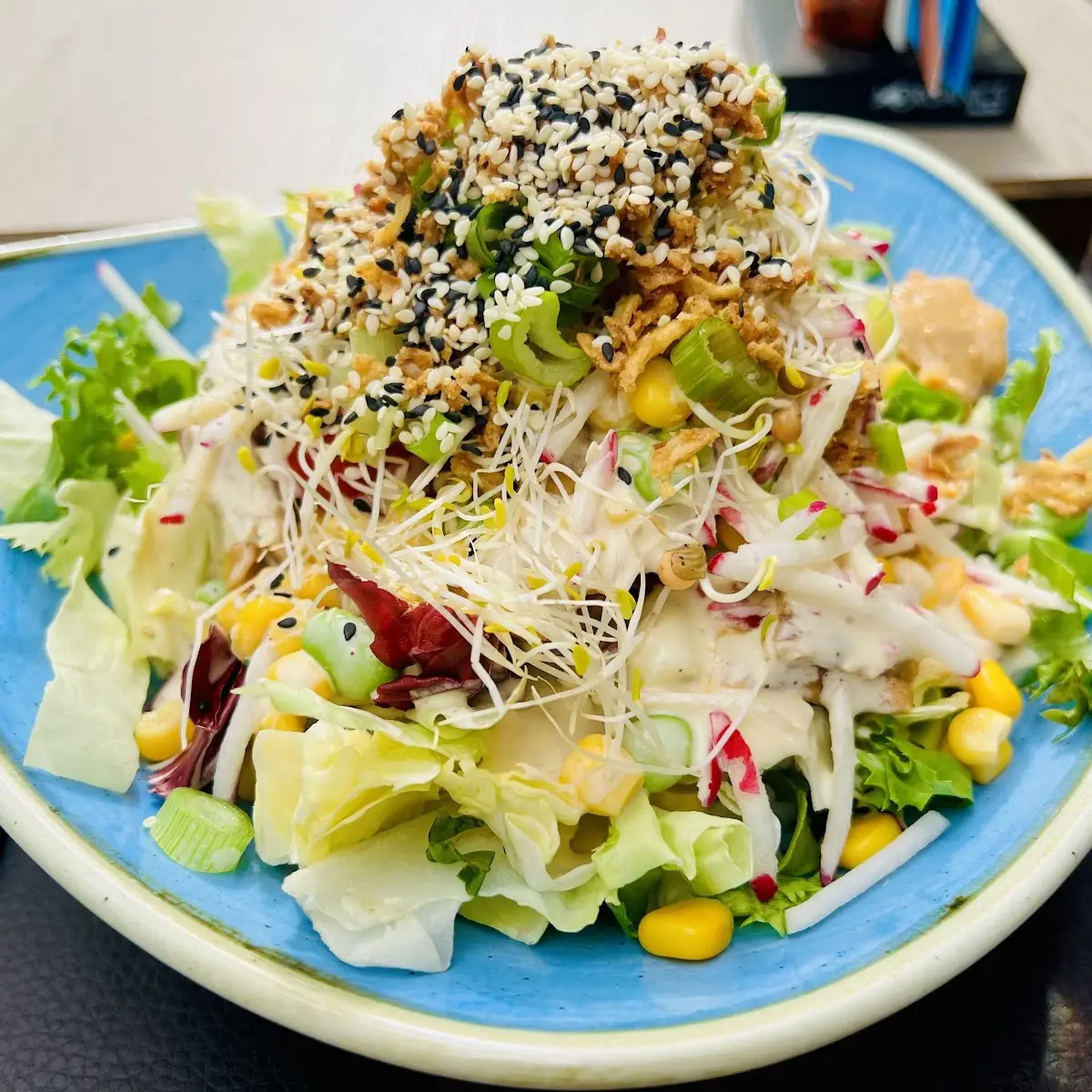 Zitrus Tuna Bowl Normal