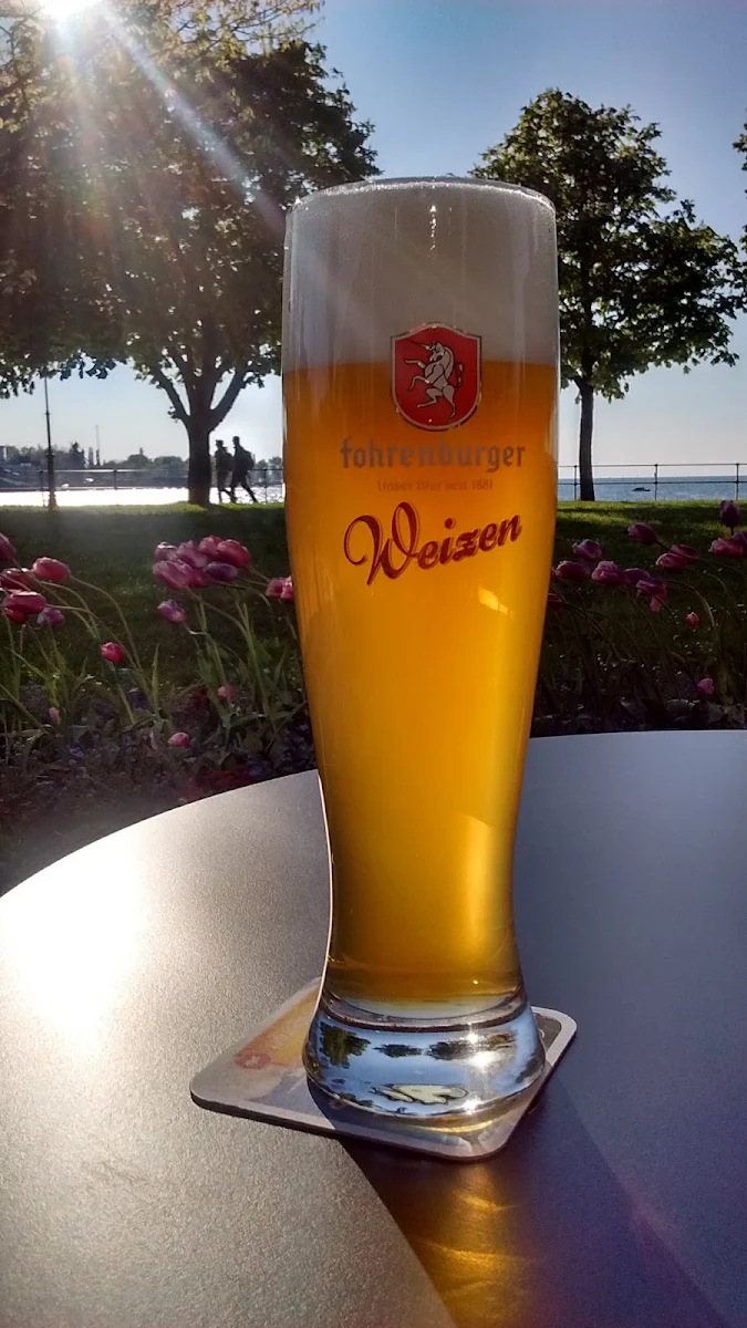 Bier