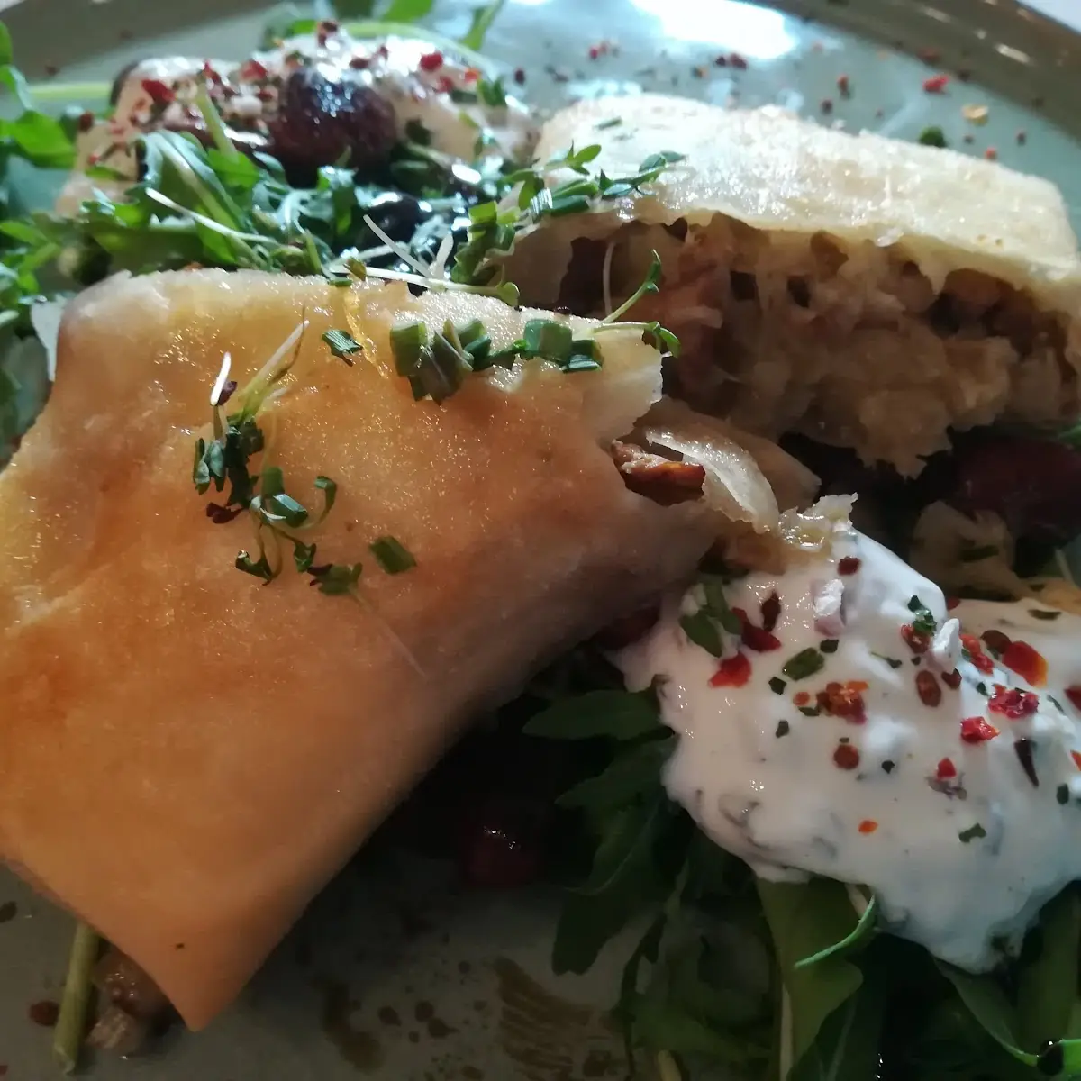 Frühlingsrolle Kraut Eierschwammerl Mit Käferbohnen Und Ruccola