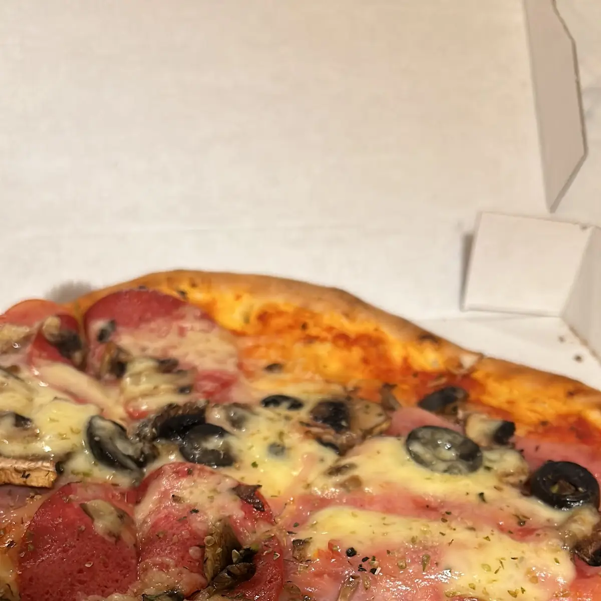 Pizza Funghi
