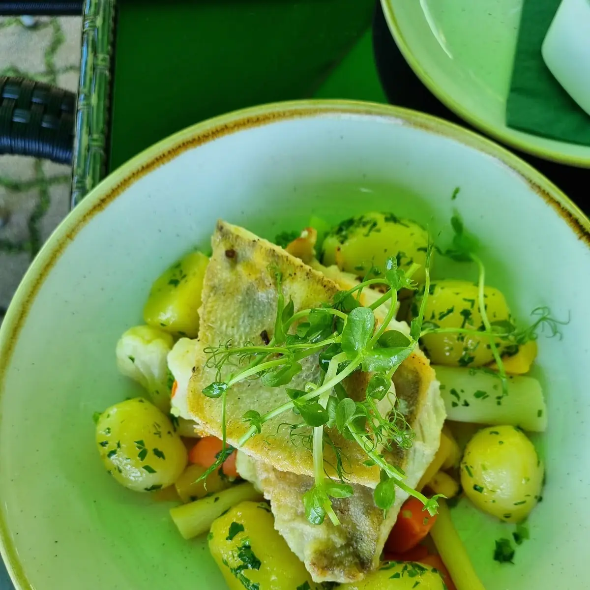 Steirischer Wurzel-fisch