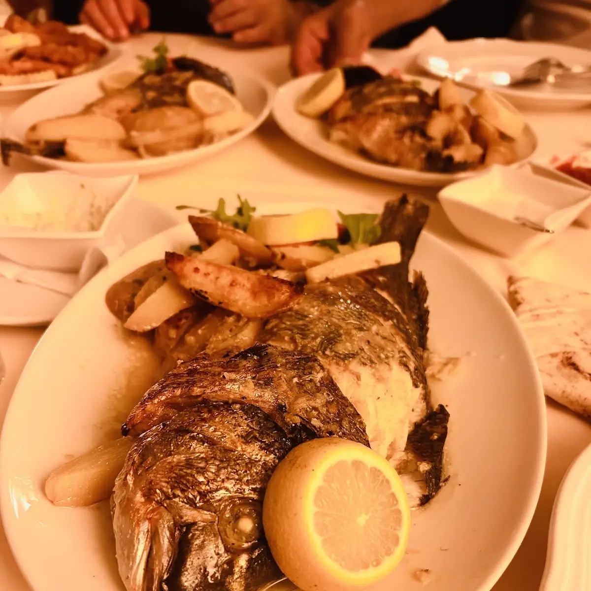 Fisch