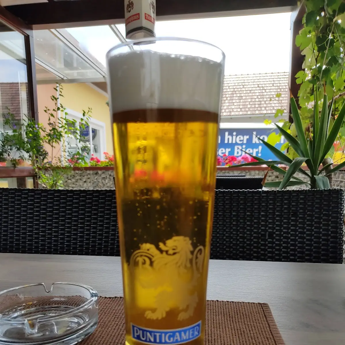Bier