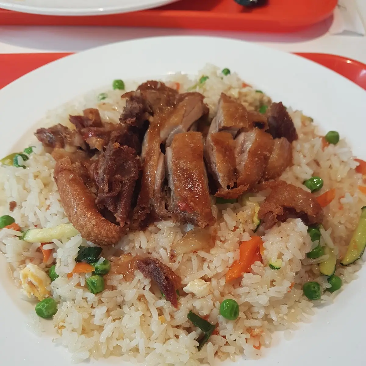 Ente Mit Reis