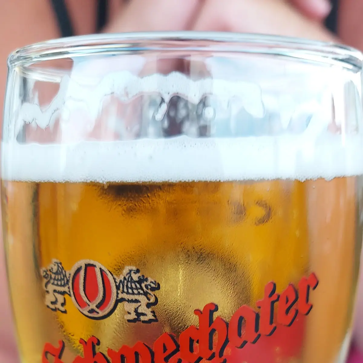 Bier