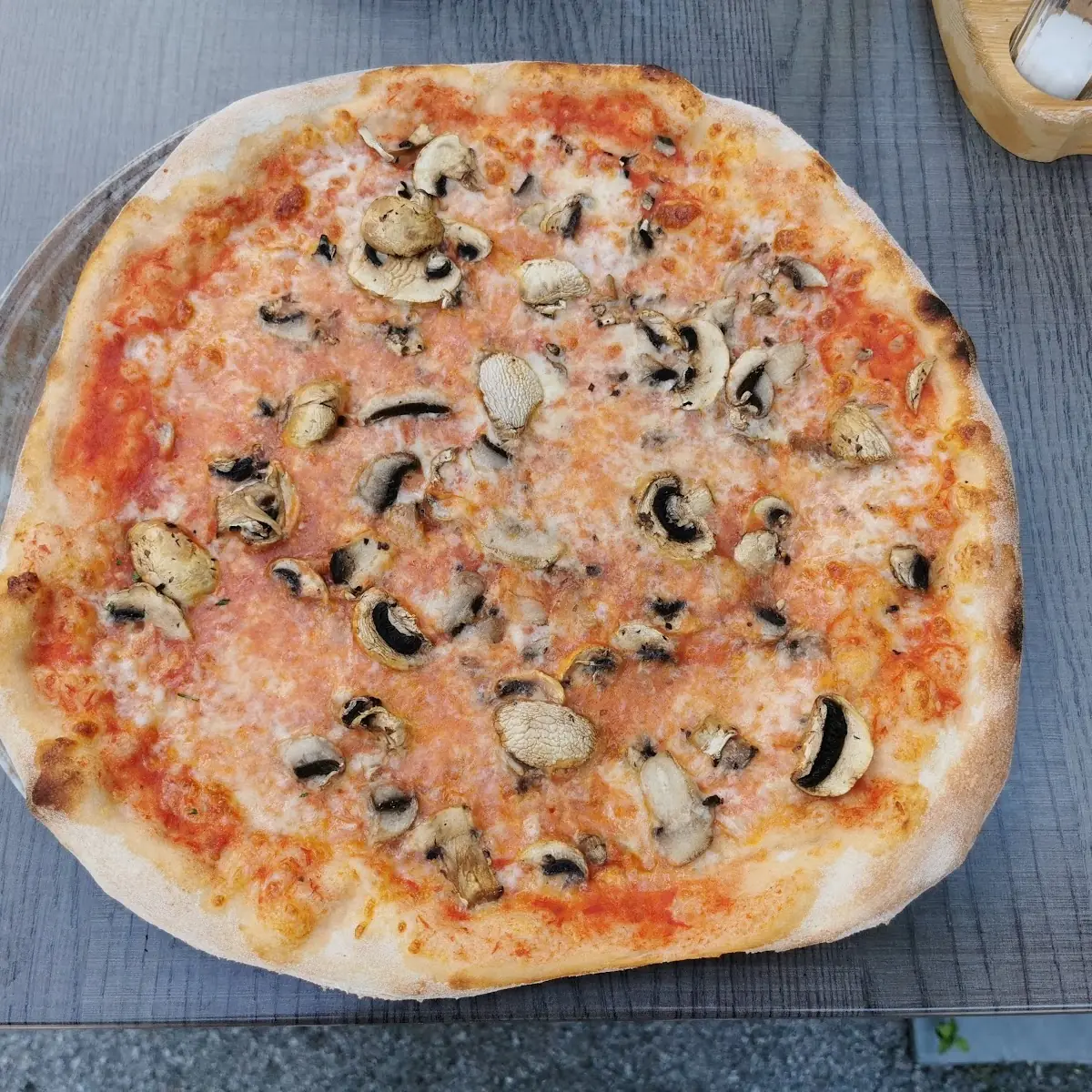 Pizza Funghi