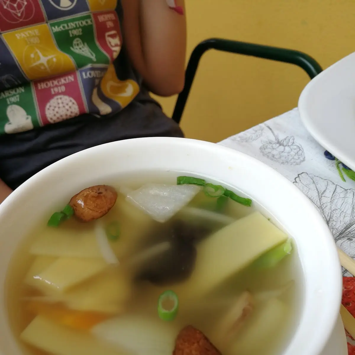 Sopa Vegetal
