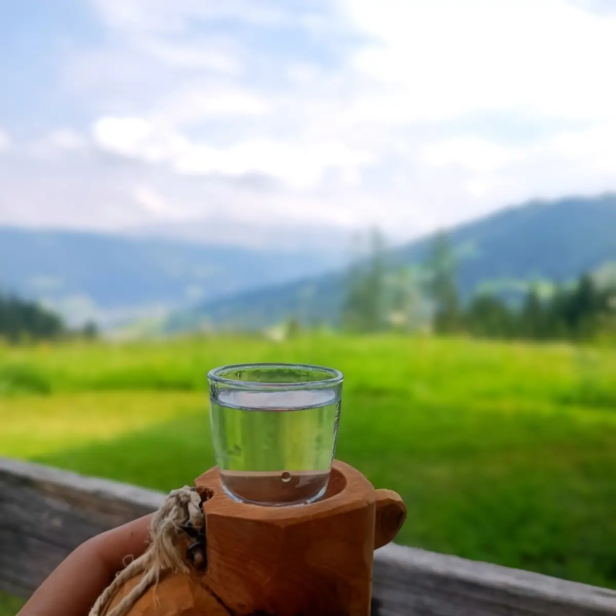 Marillenschnaps
