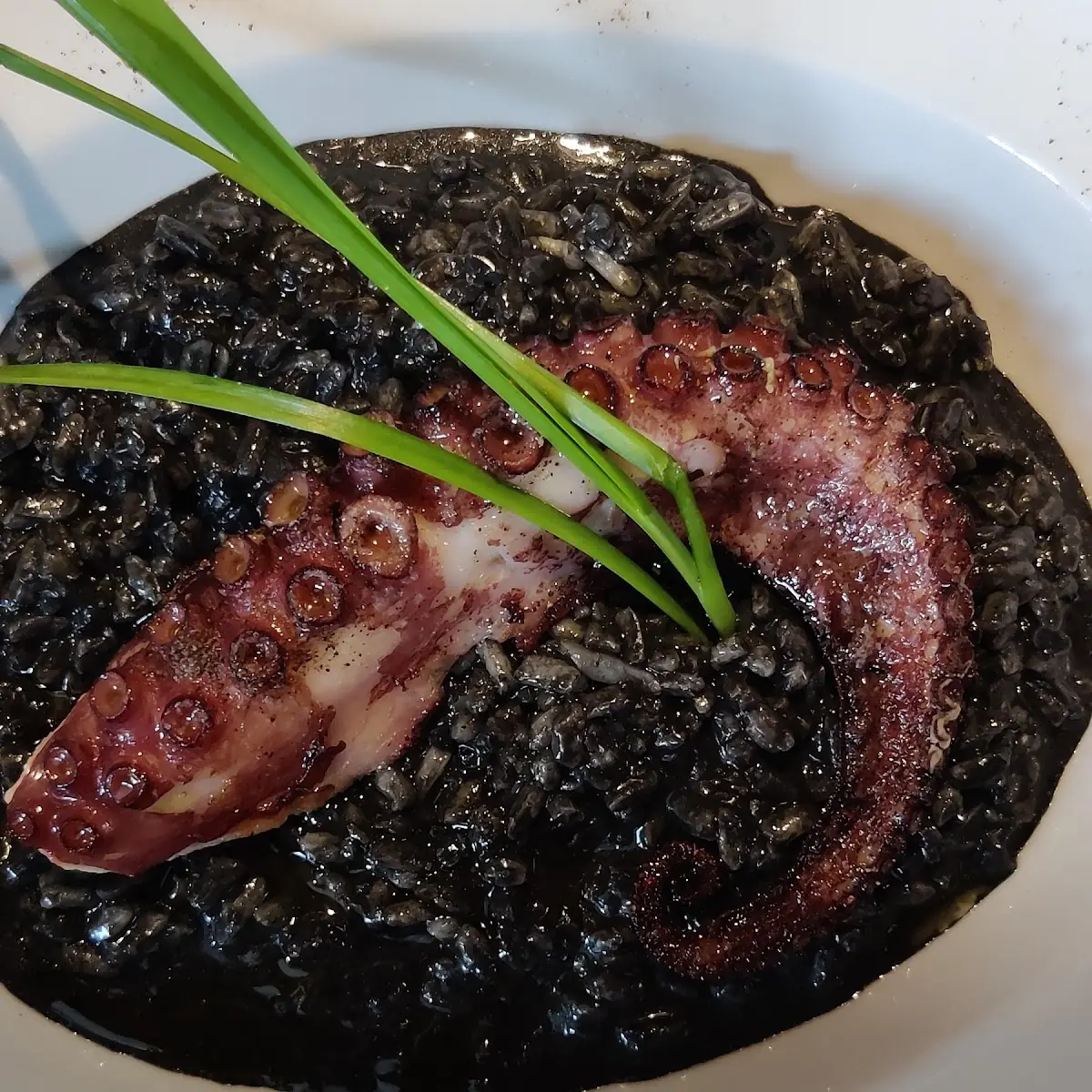Oktopus An Schwarzem Reis
