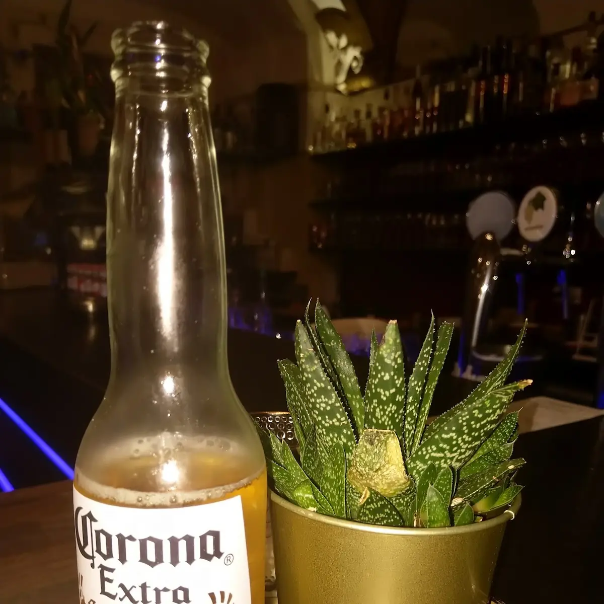 Corona Extra