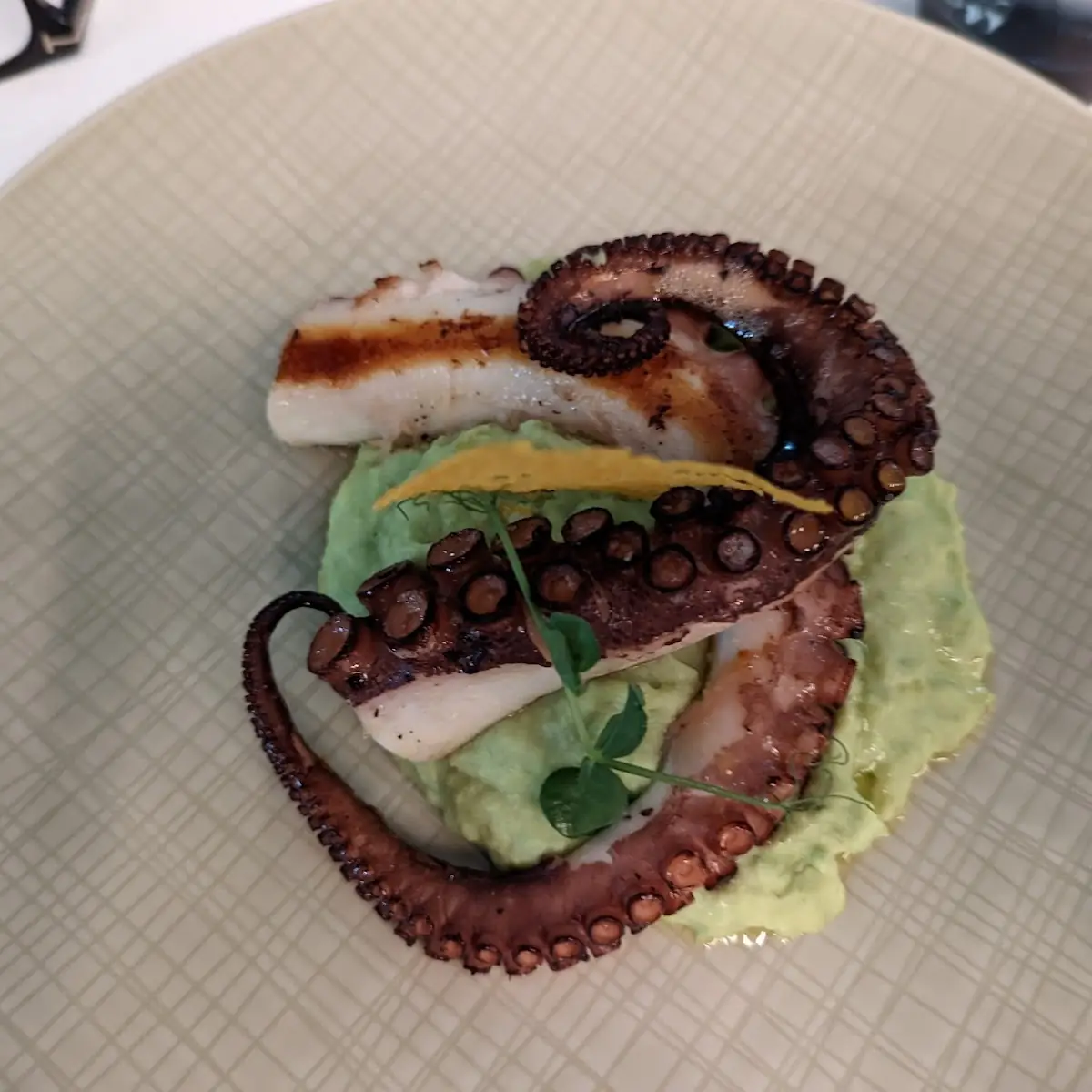 Grilled Octopus with Avocado Puree