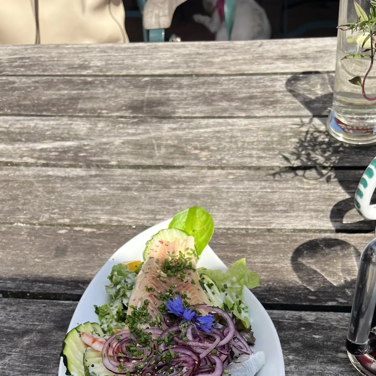 Salat Mit Forelle