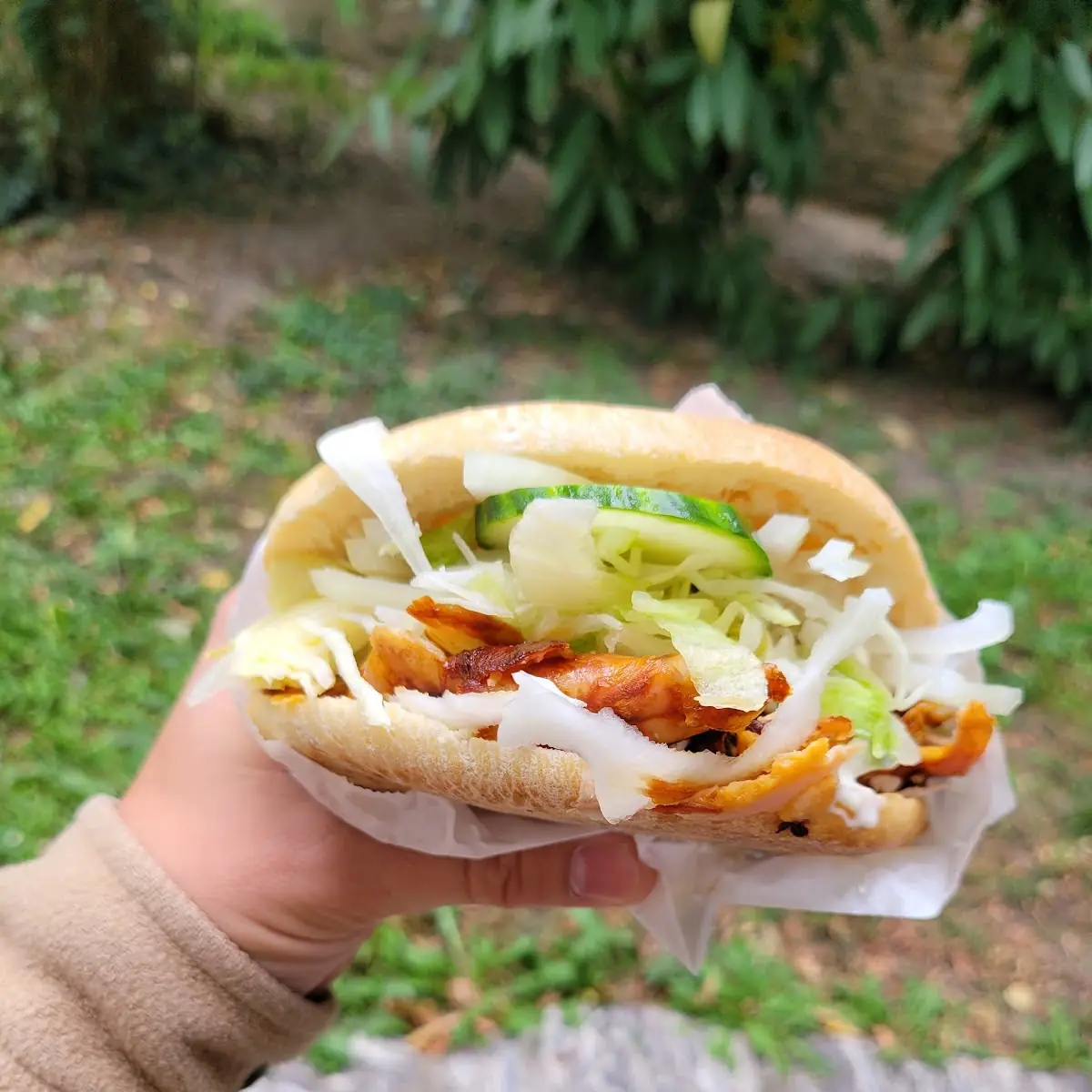 Kebap Huhn