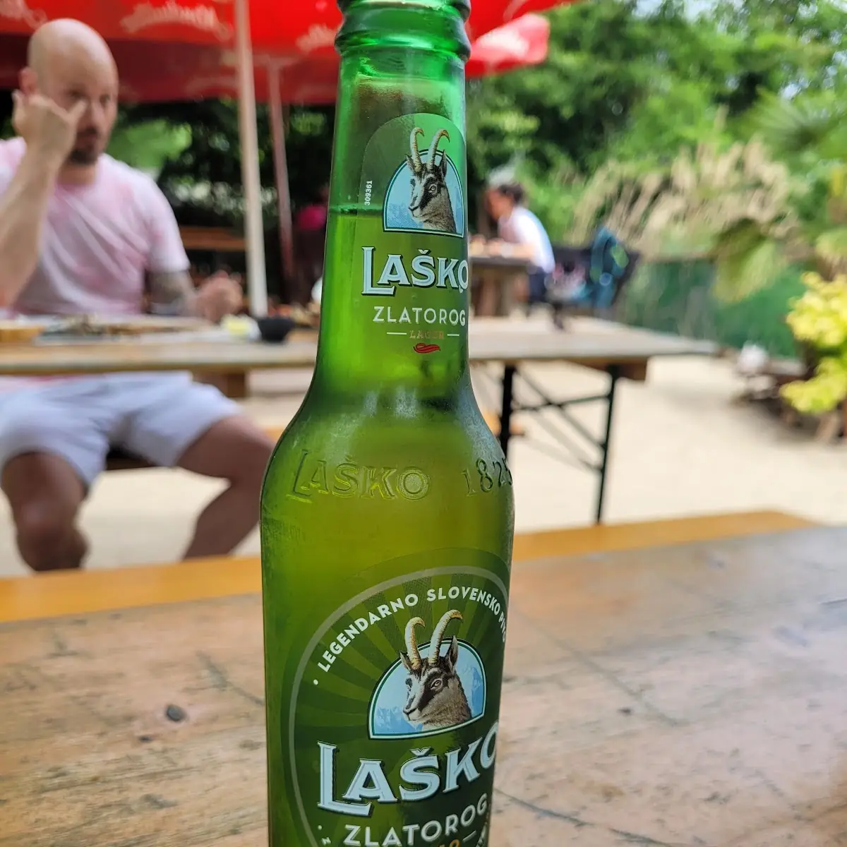 Bier