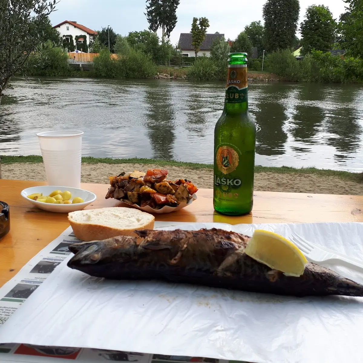 Fish