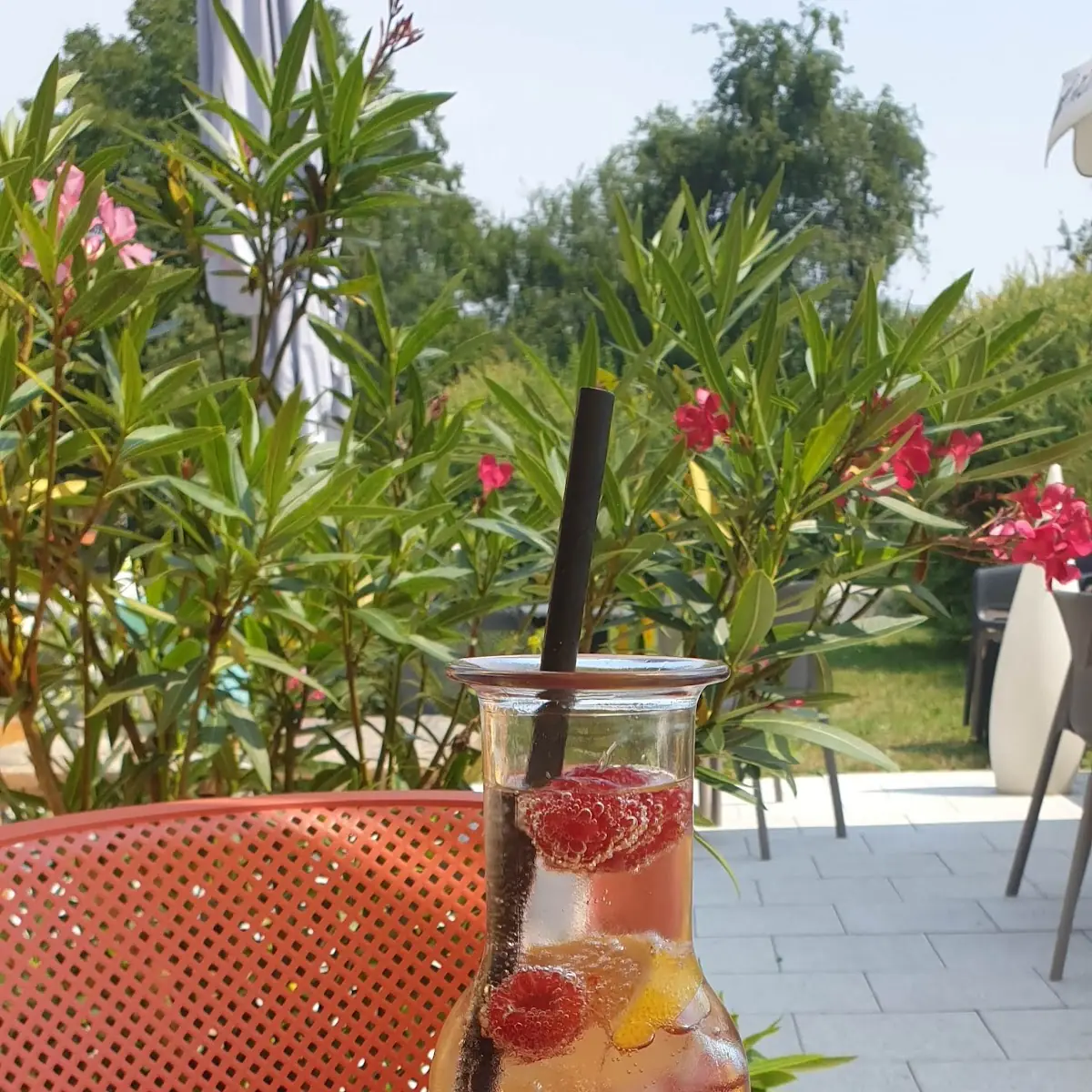 Limonade Hausgemacht