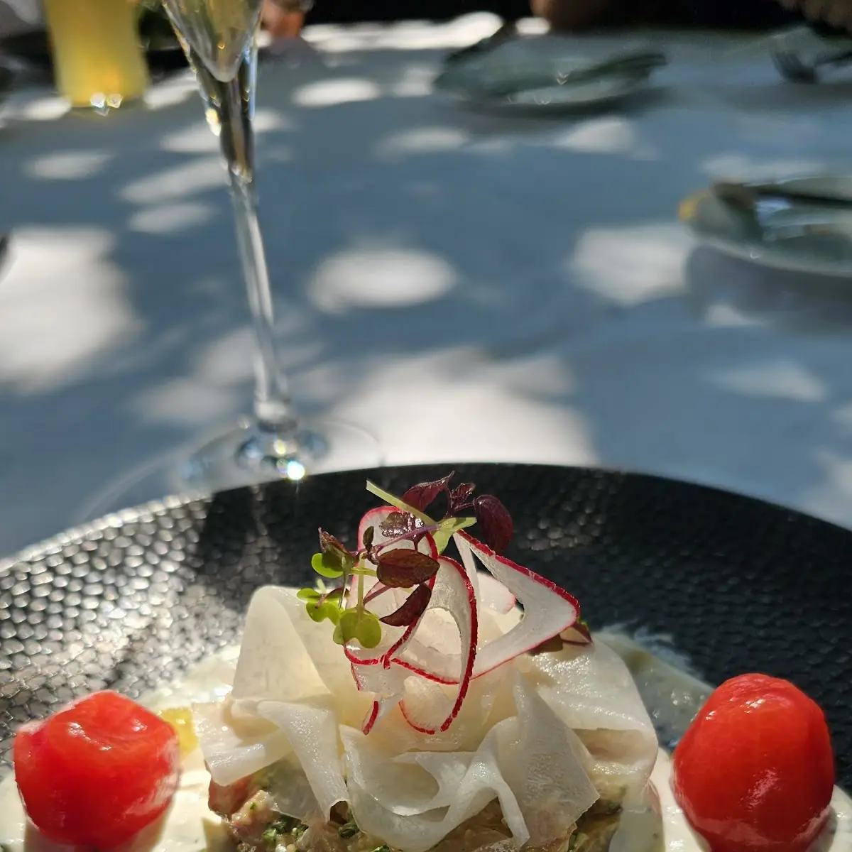 Tartar Vom Saibling
