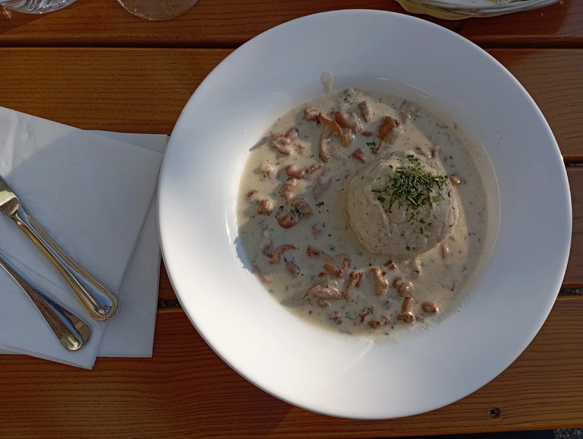 Semmelknödel In Schwammerlsauce