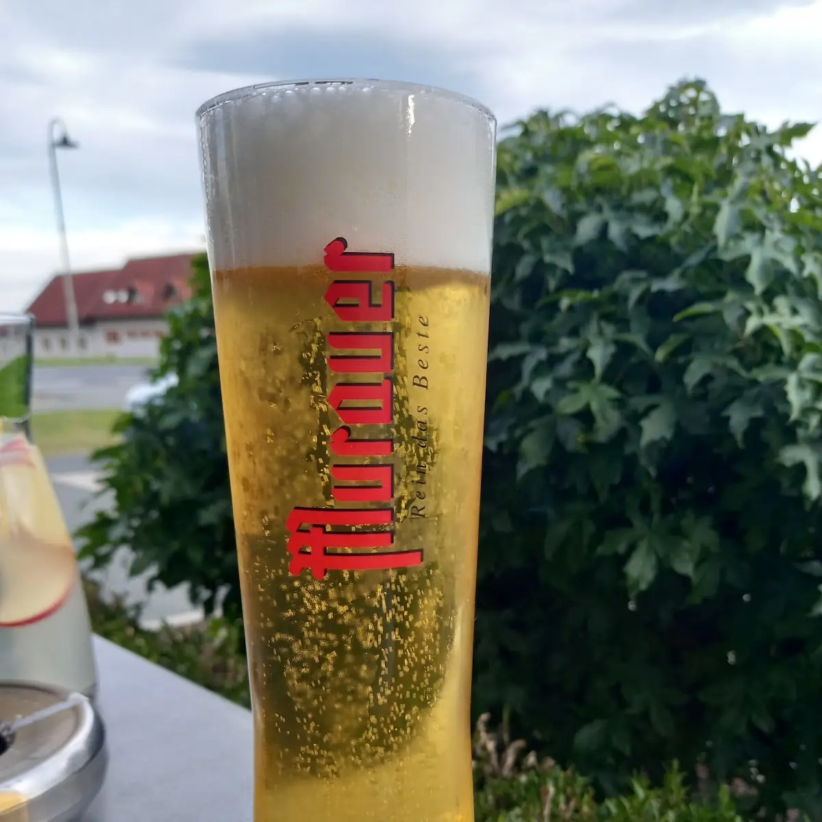 Bier