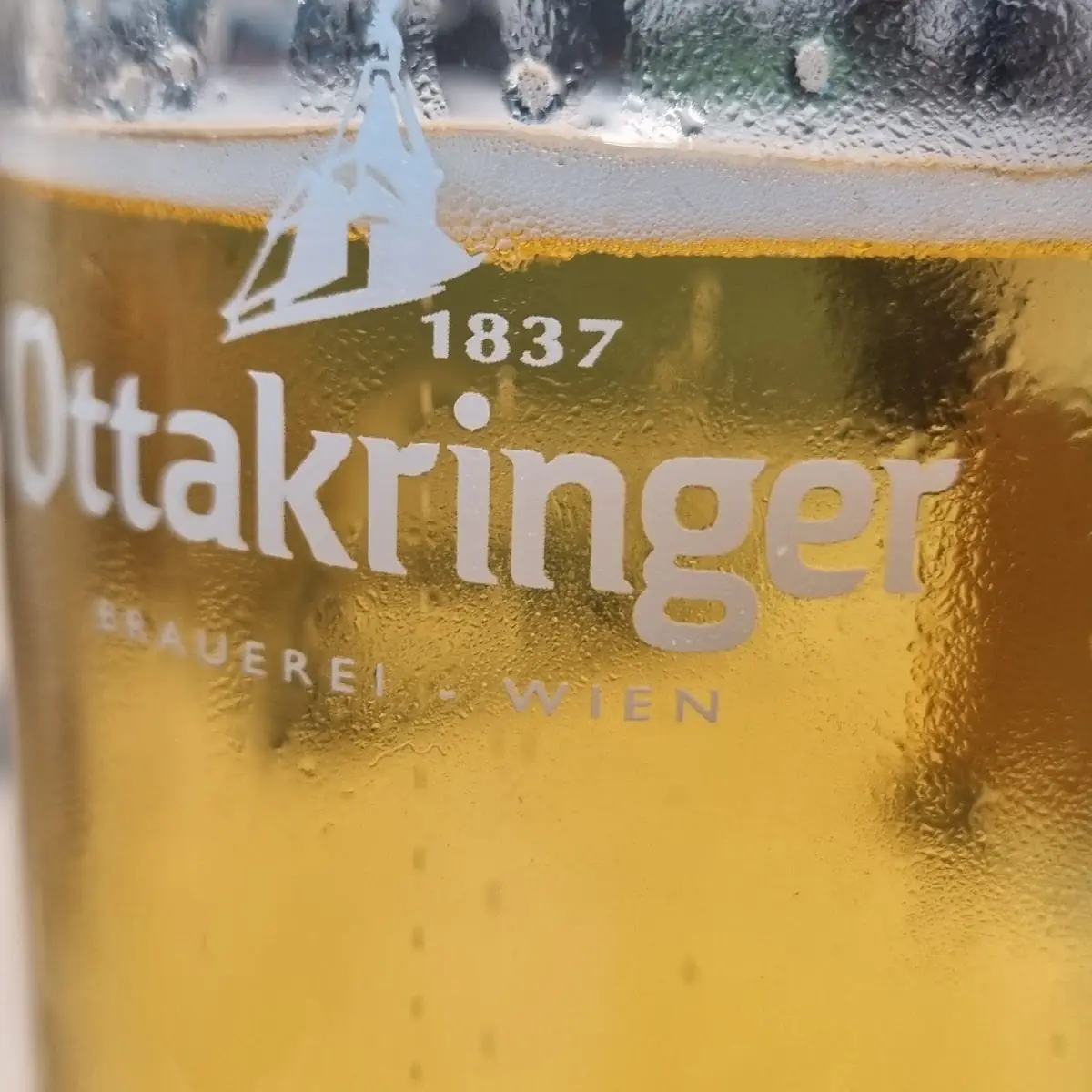 Ottakringer Beer