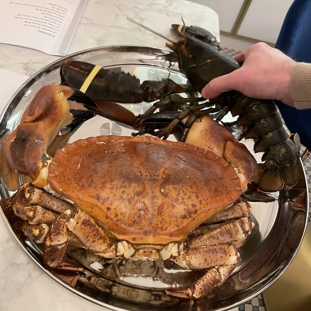 Krabben Und Hummer