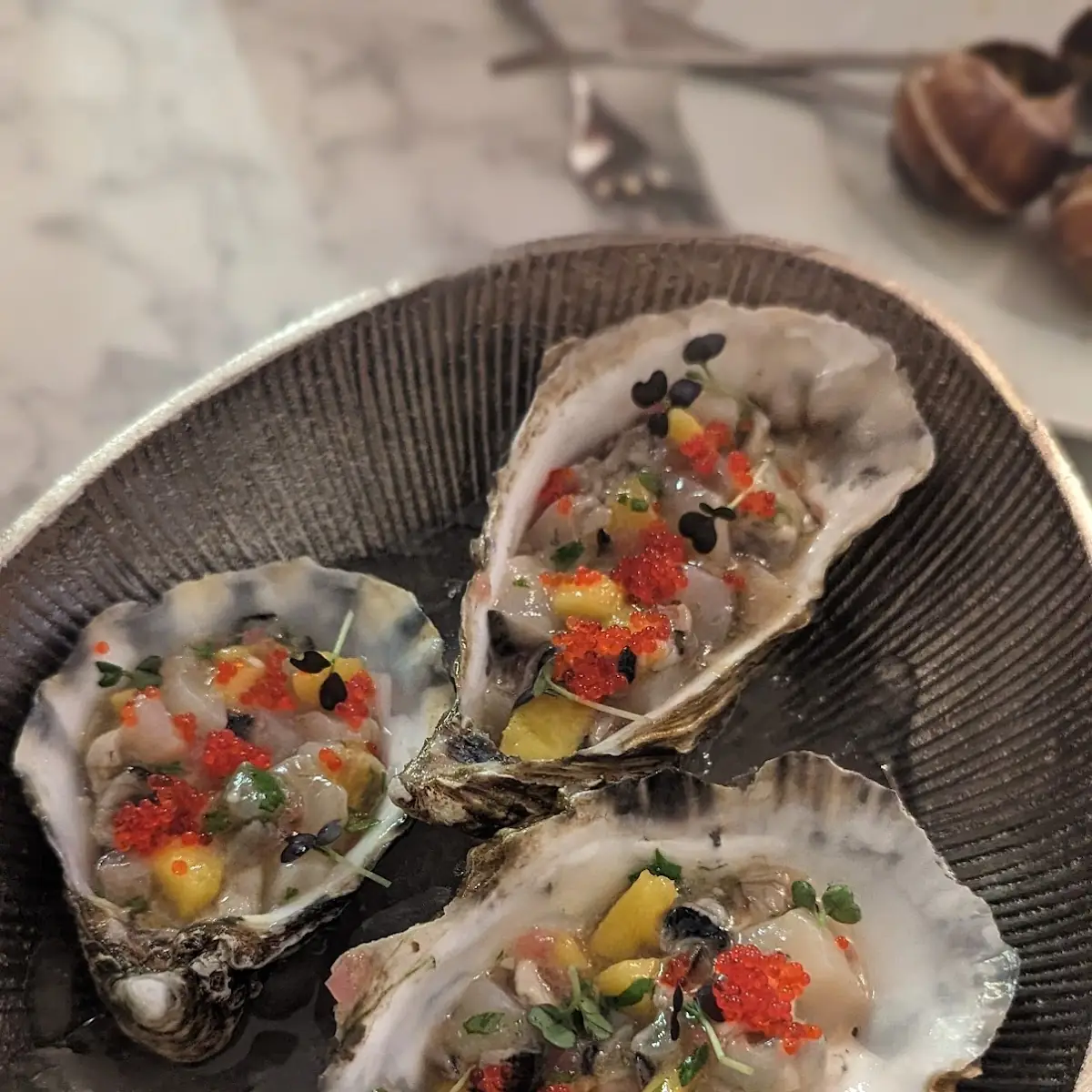 Scallop and Oyster Ceviche