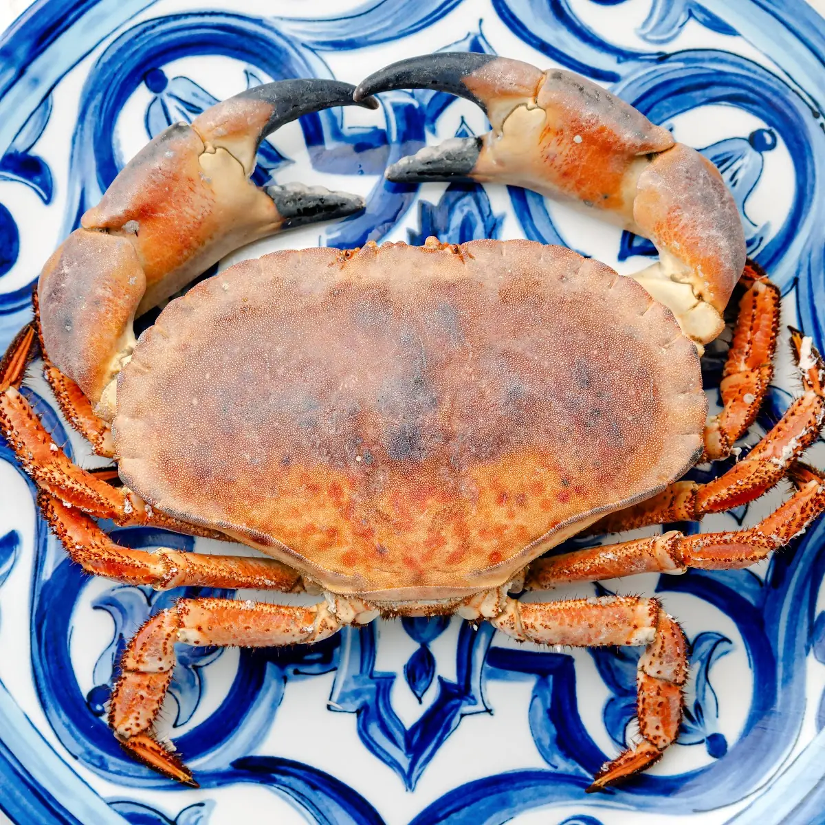 Whole North Atlantic Crab Per 100g