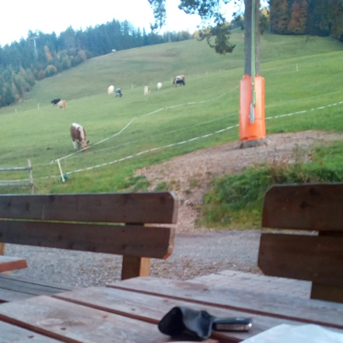 Kaffee