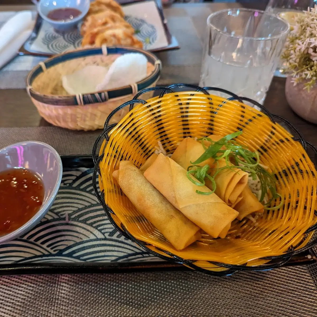 Reiskorn Spring Rolls