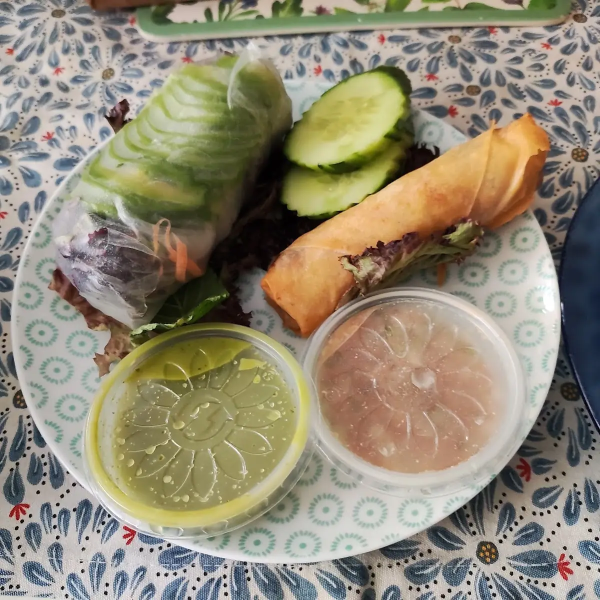 Frühlingsrollen And Somerroller