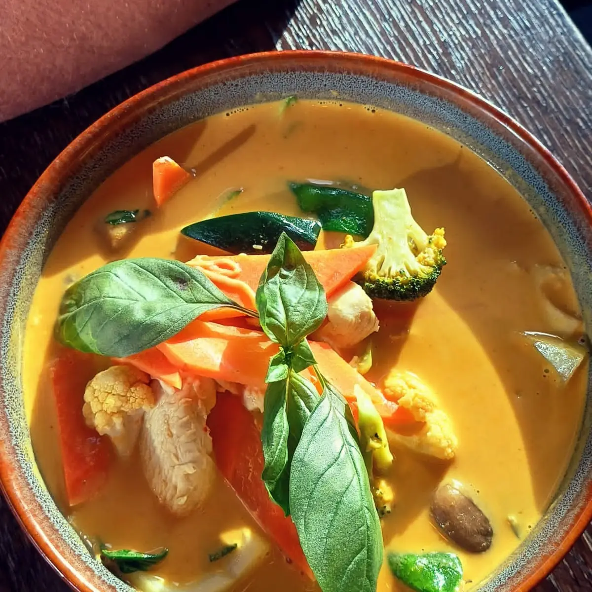 Red Curry Tofu Reis & Einer Hausgemachte Frühlingsrollen
