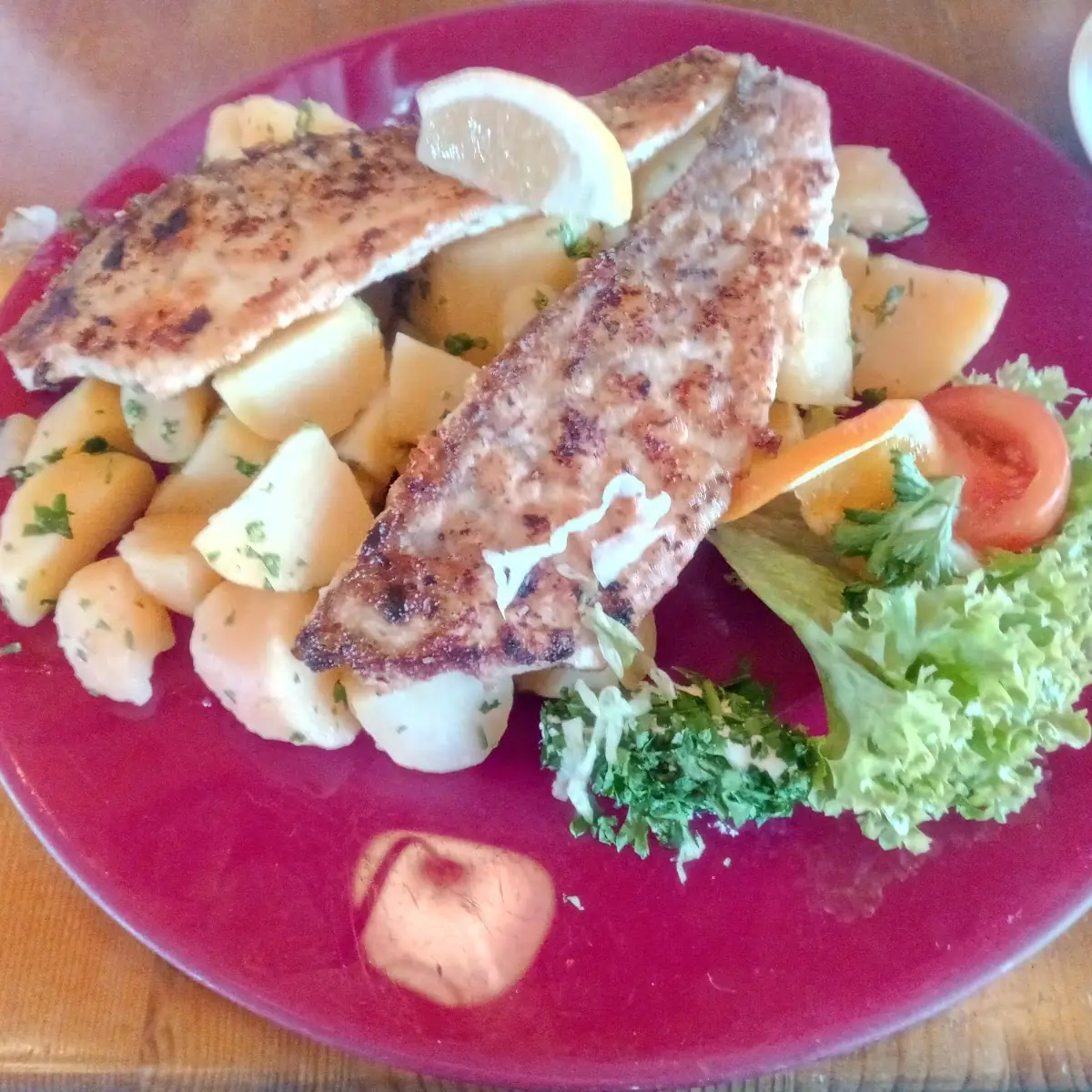 Zander Vom Grill