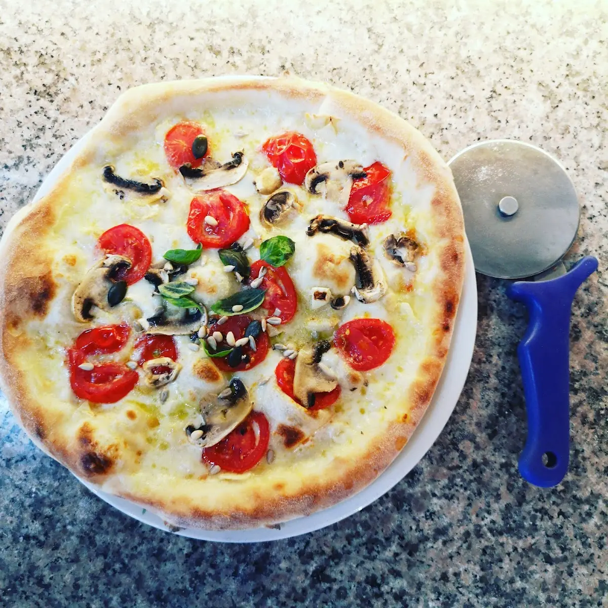 Pizza Funghi