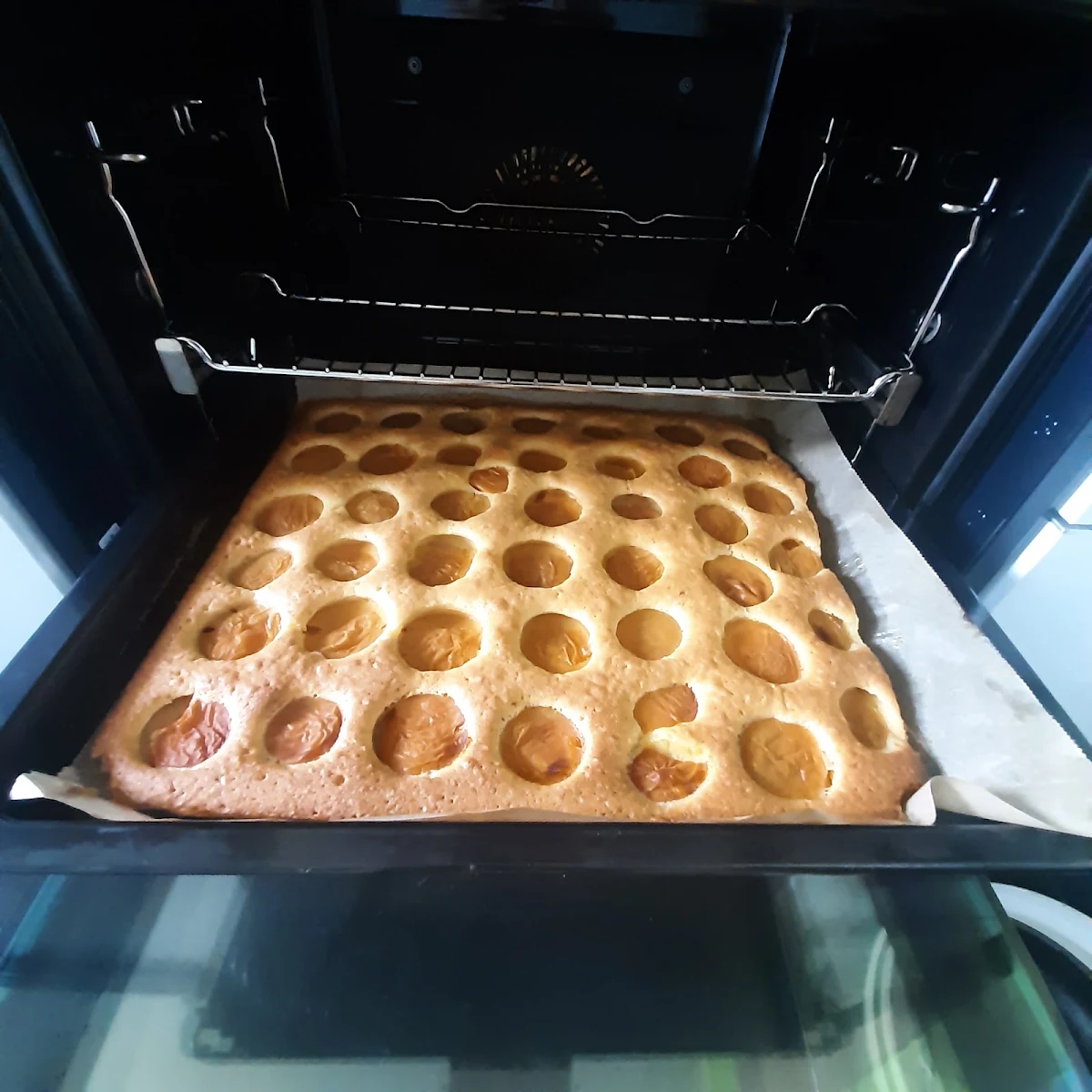 Aprikosenkuchen