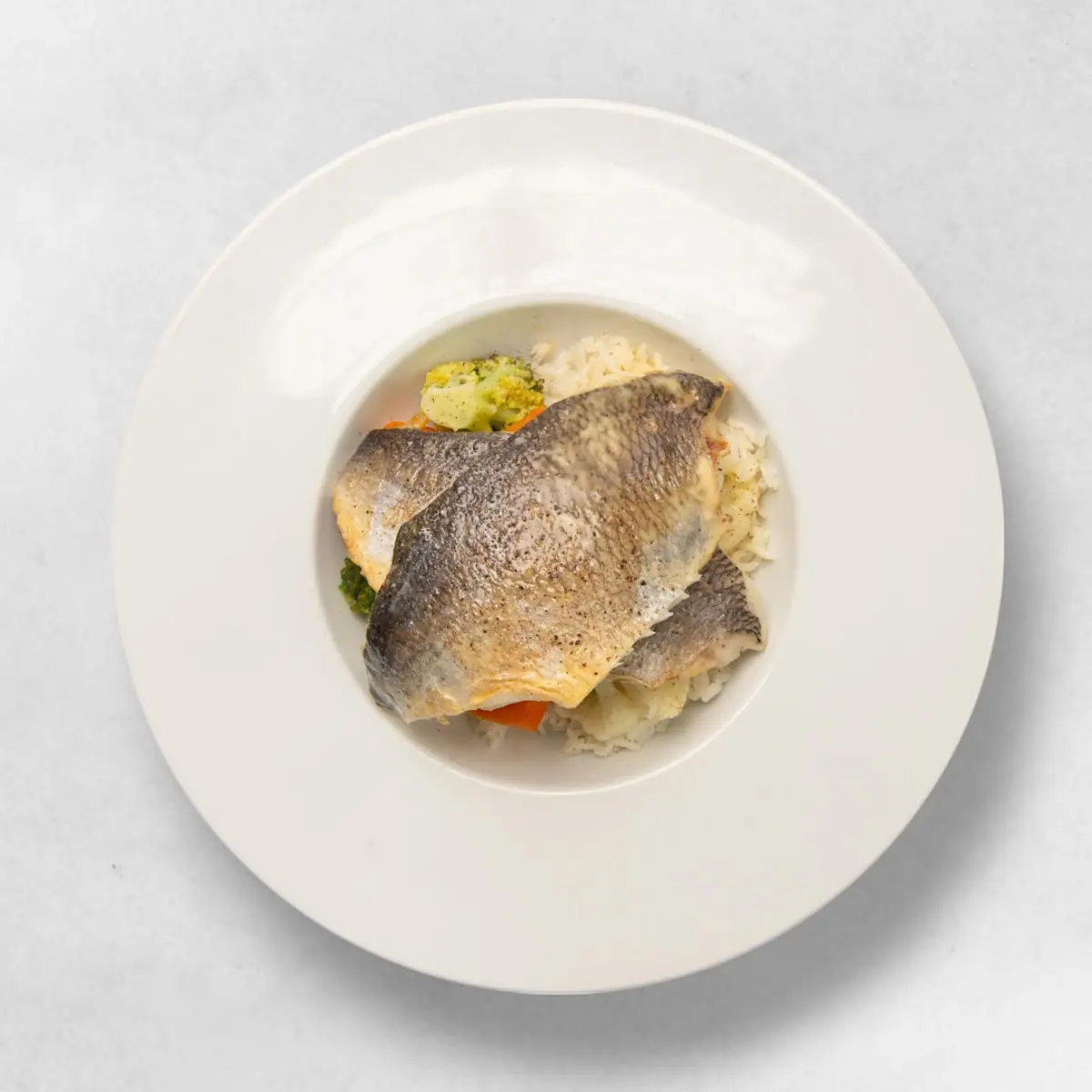 Goldbrasse Dorade