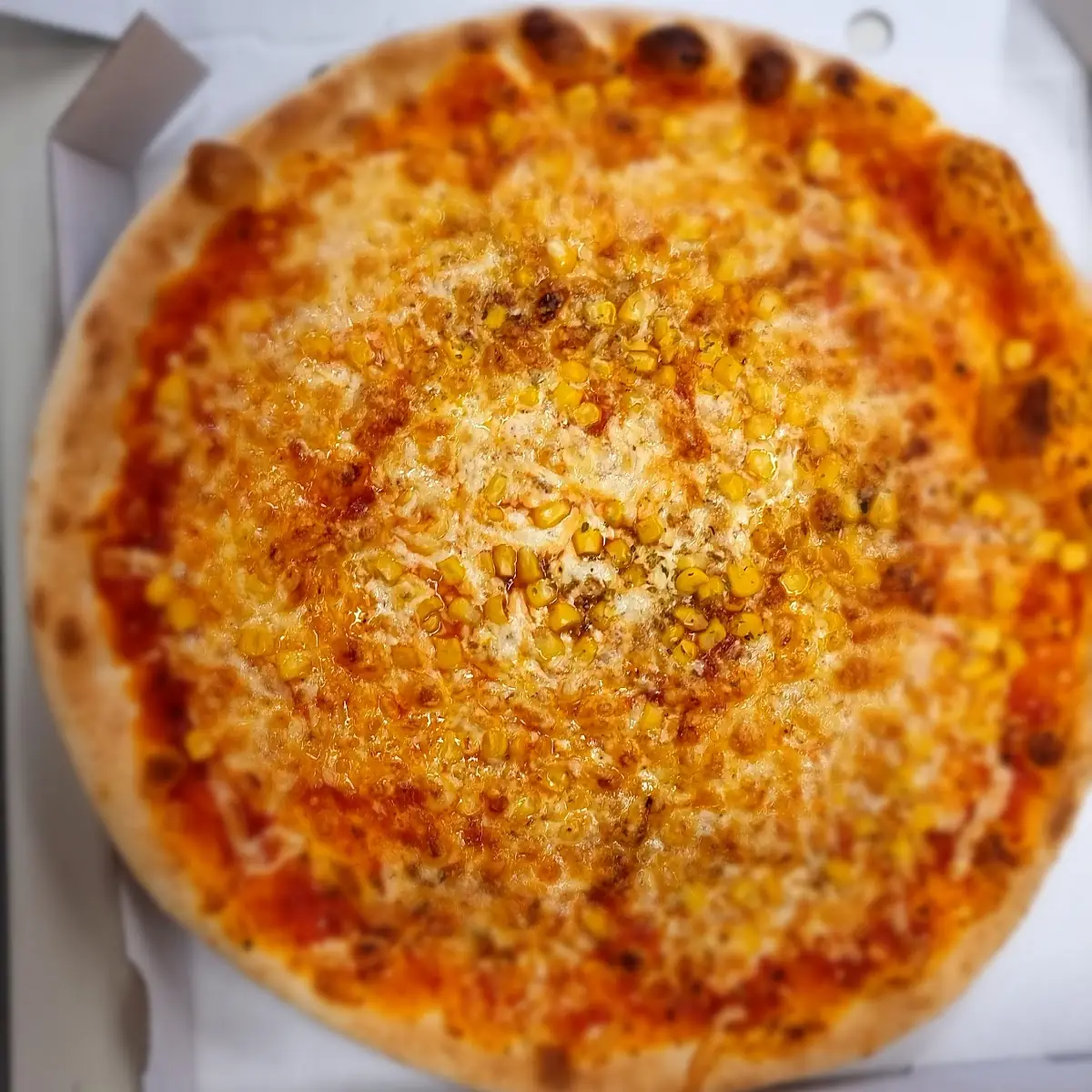 Margherita Pizza
