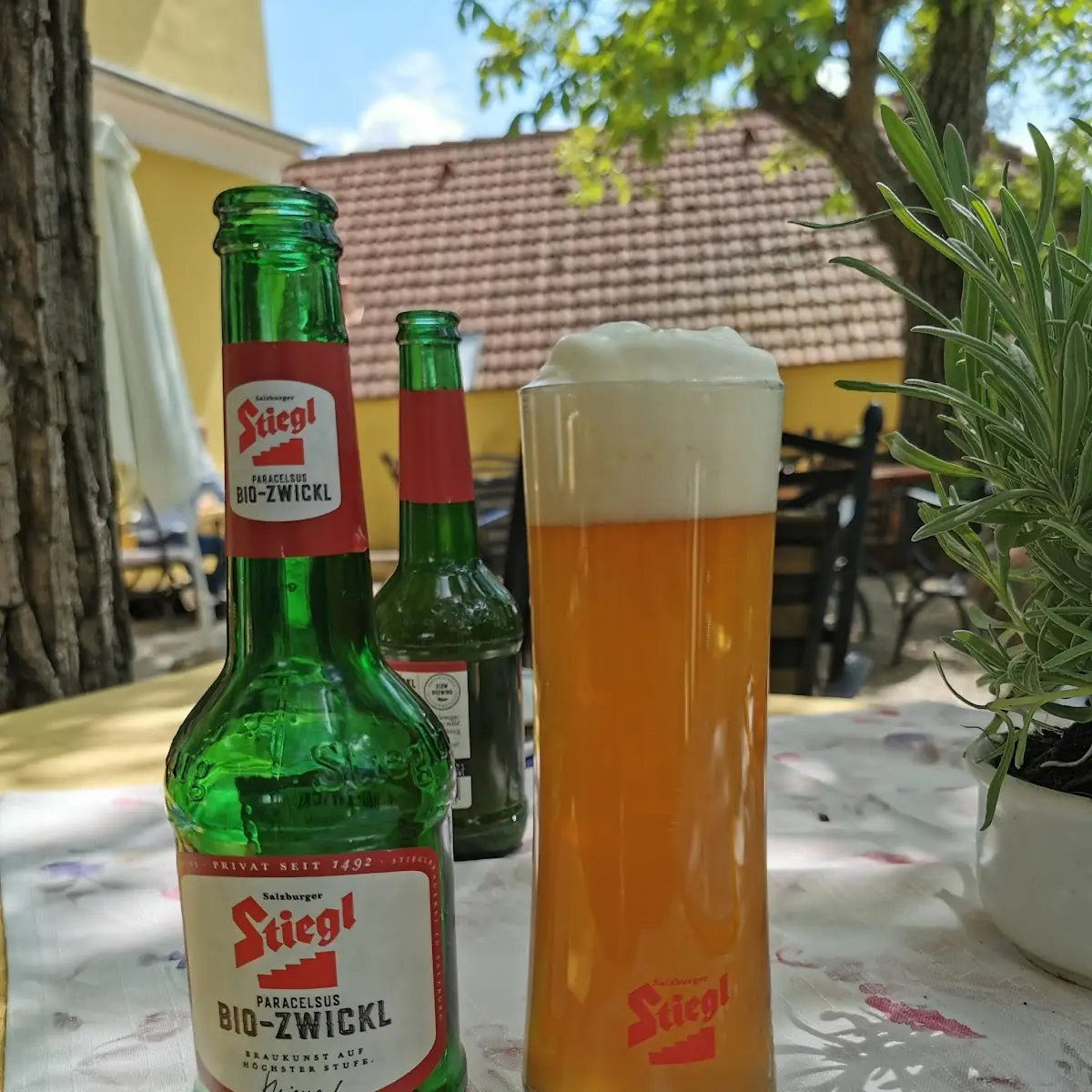 Bier