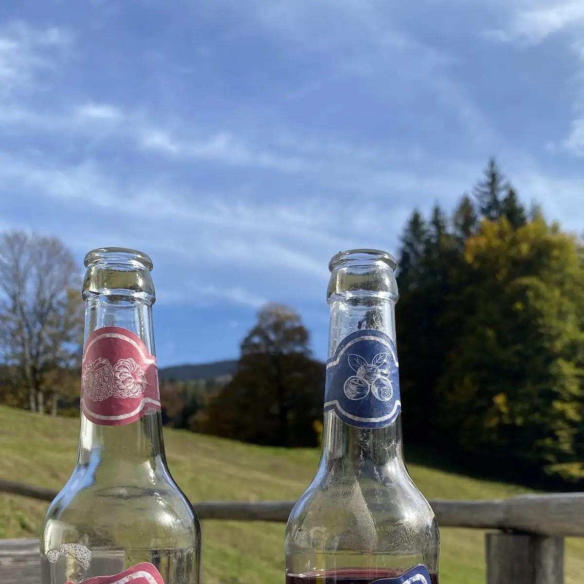 Sodas