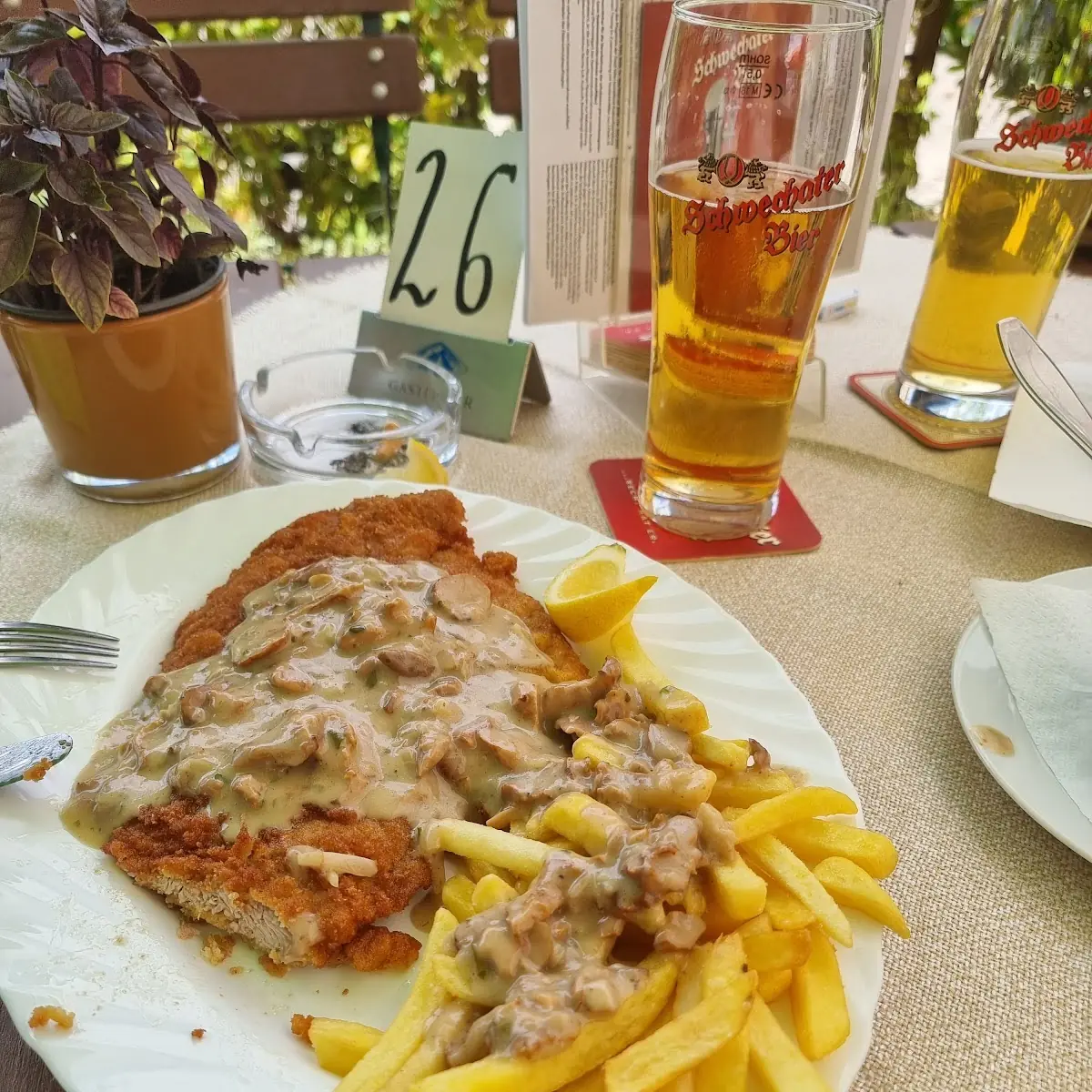 Schnitzel Wiener Art Mit Pommes Und Schwemmelsose