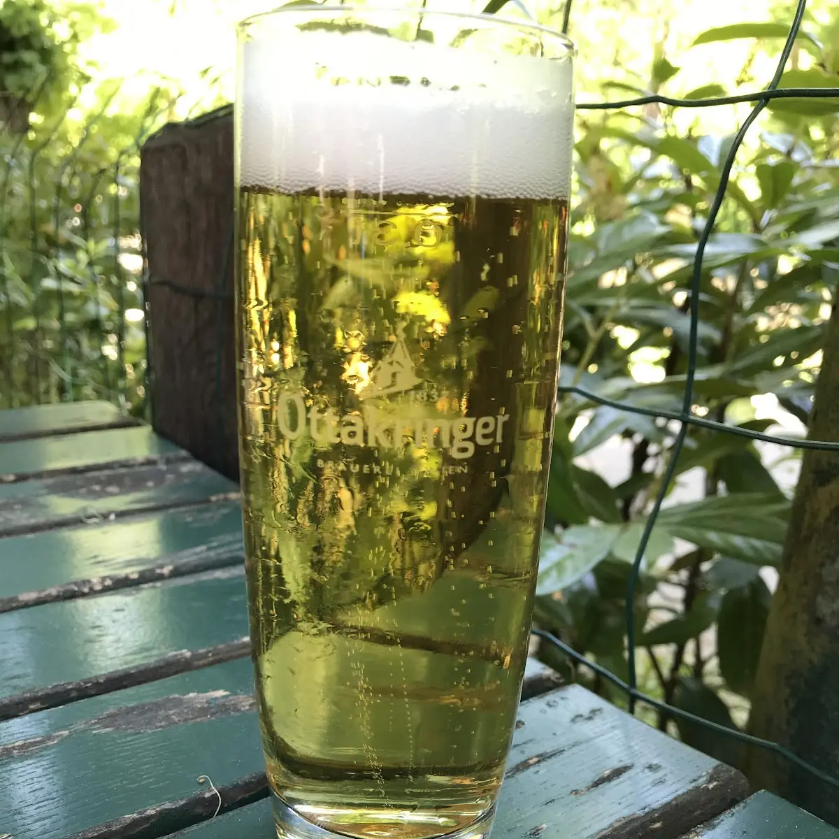 Bier