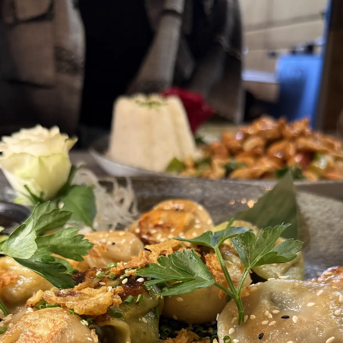 Yummy Gyoza Gemischt