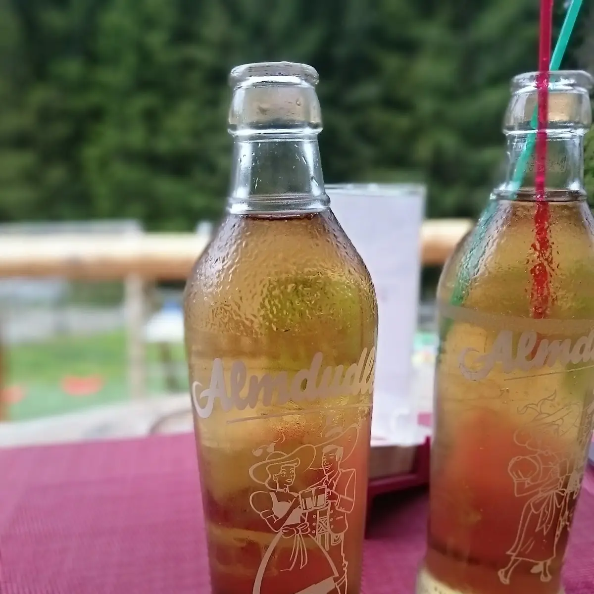 Almdudler