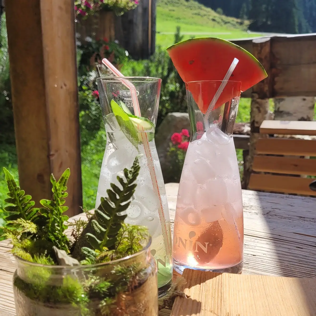Limonade Melone Minze Und Gurke Basilikum