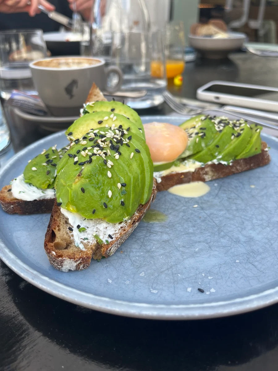 Avocado